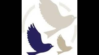 Baker McCullough Garden City Live Stream