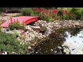 How To DIY Backyard Stream and Pond