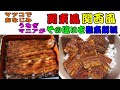 【ゆっくり解説】うなぎの関西風と関東風の違いは…？