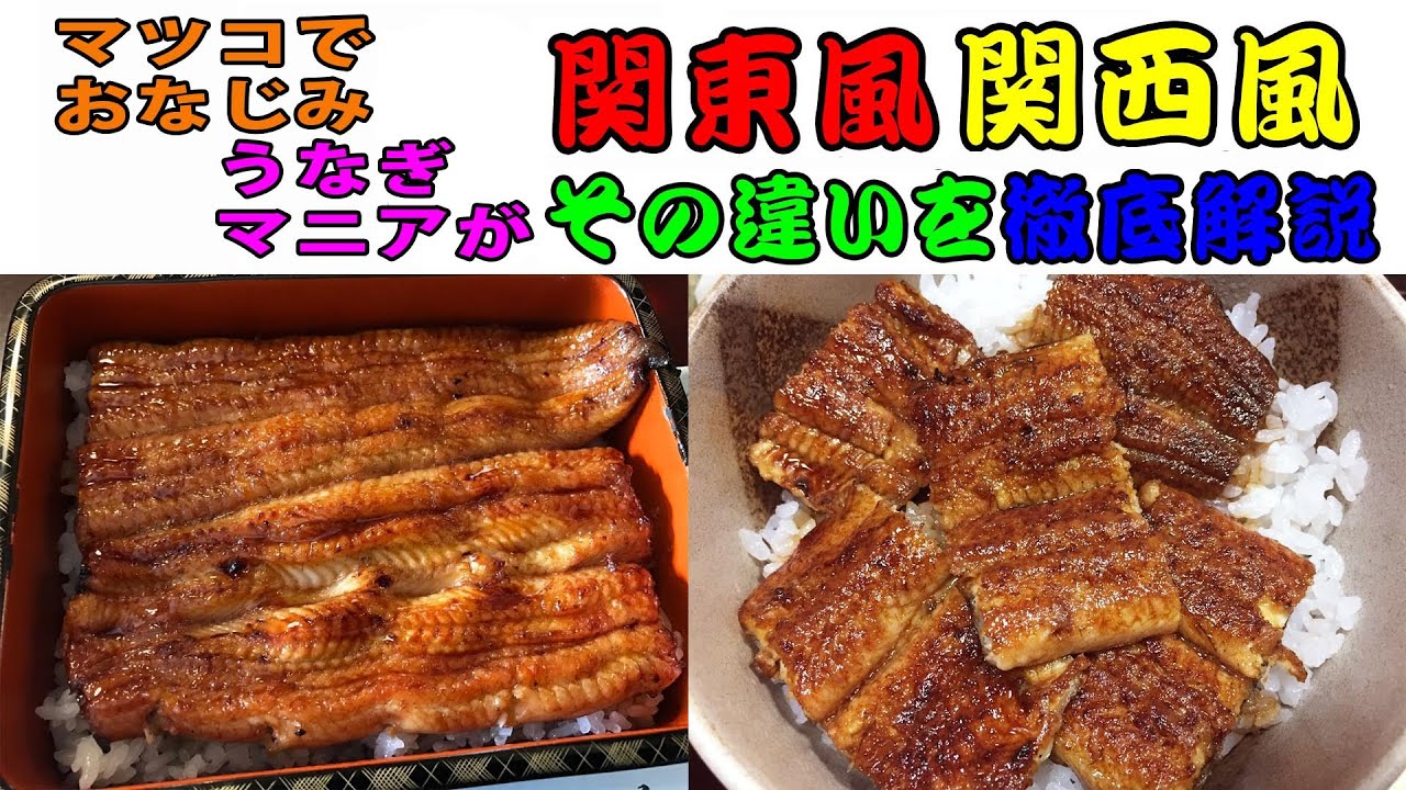 うなぎ 関東 関西 違い