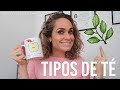 Beneficios Y Tipos De Tes (Quienes No Deben De Consumirlos)