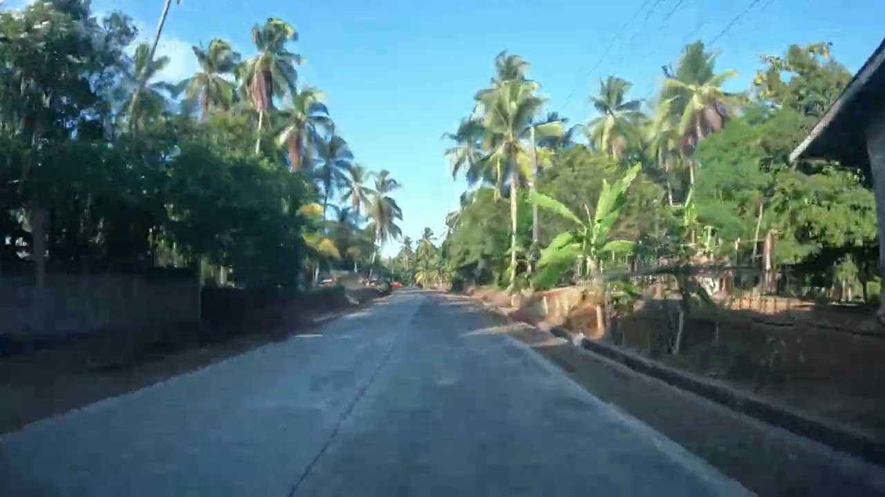 CAPUTOL TO LUMBAYAO ROAD | ALORAN MISAMIS OCCIDENTAL