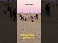 pandit ji tour travels desert safari package booking 7296933944 jaisalmer Rajasthan