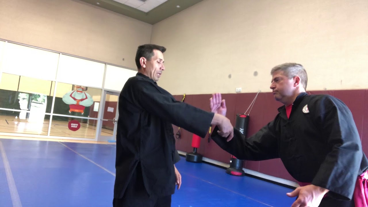 camera iphone 8 plus apk Kung Fu - Punch Outside/Inside Neck Pulls; Grab 2 Counter to Counter Grab or Release to Reference