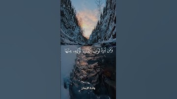 وماكان_لنفس_أن_تموت_إلا_بإذن_الله #القارئ_أحمد_العجمي #سورة_ال_عمران #واحة_الأيمان #اسلاميات #المصحف
