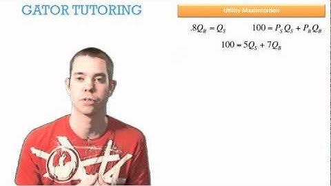 Utility Maximization 3