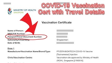 How to Get a Vaccination Certificate with Passport Details