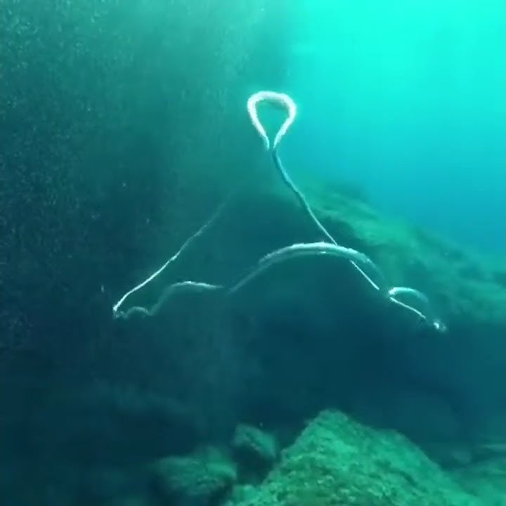 Воздушные кольца в воде - YouTube