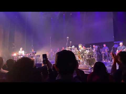 Tizzy Bac - 鐵支貝克, Live@Zepp