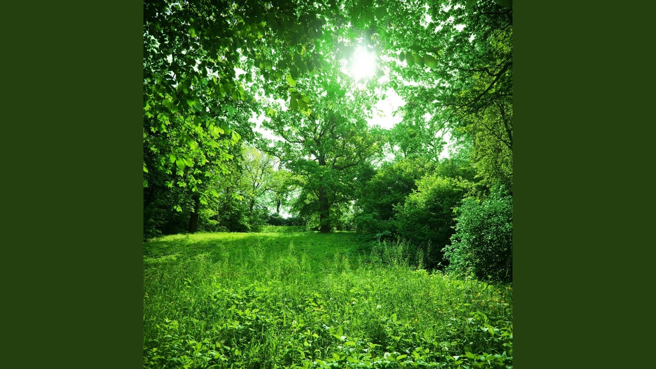 Palette Unleashed Earth Notes