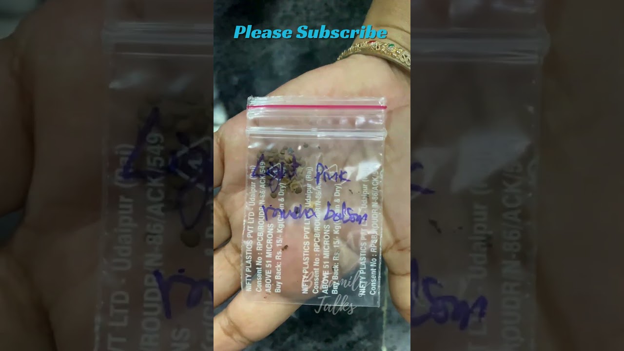 FREE ORGANIC SEEDS ! 🌱 ఫ్రీ ఫ్రీ ఆర్గానిక్ సీడ్స్ 🤩😇 #garden #shortsfeed