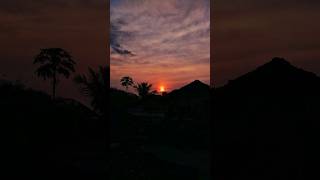 Snapseed Curves Editing Tutorial shorts