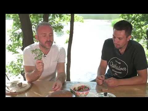 Snaga bilja - Ovčarsko Kablarska klisura