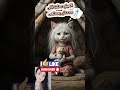 مياو أصيلة وجدعة مياو أصيلة وجدعة