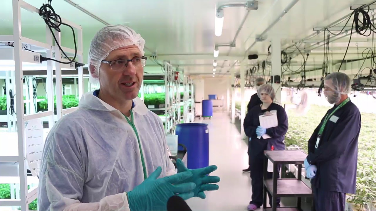 sundial growers Update New Sundial Growers brings jobs and growth in Olds