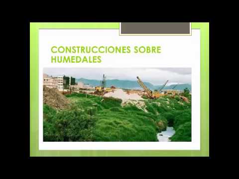 Video: Cómo Construir Una Base En Suelos Arcillosos