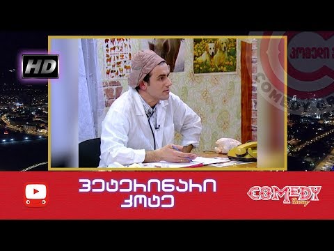 კომედი შოუ - ვეტერინარი კოტე