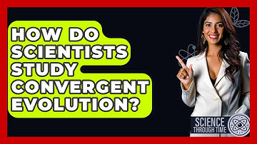How Do Scientists Study Convergent Evolution? - Science Through Time
