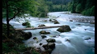 River flows in you Twilight