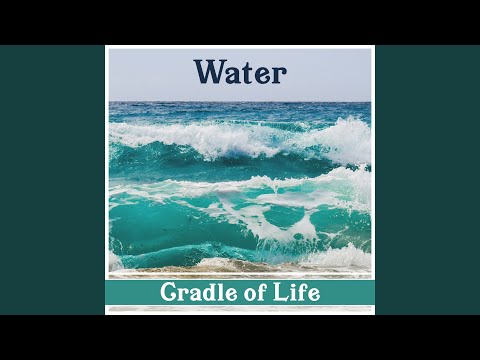 Video: Water Cradle Of Life - Alternative View