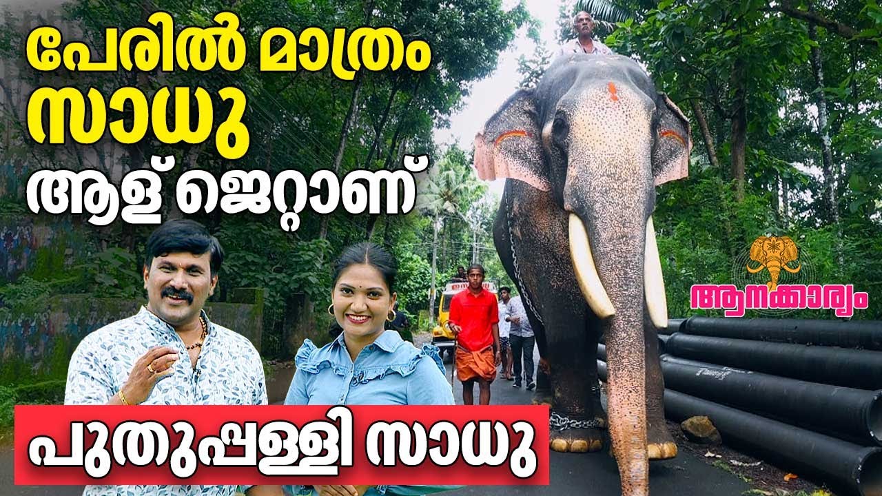 EP 74 | പേരിൽ മാത്രം സാധു , ആള് ജെറ്റാണ് | Puthuppally Sadhu | Aanakkaryam