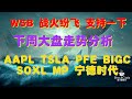 WSB 战火纷飞 支持一下  下周大盘走势分析 AAPL TSLA PFE BIGC SOXL MP 宁德时代 【视频第168期】01/29/2021（有CC字幕）