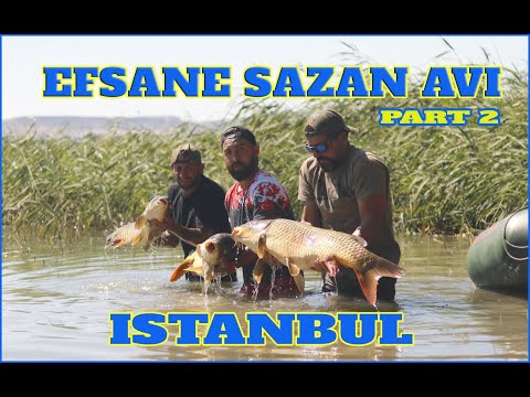 ***  WILD BIG COMMONS - CARP FISHING IN ISTANBUL PART 2 ***