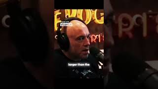 Scan Pyramid project discovered a huge void above the Grand Gallery