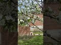 Весна🍀