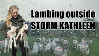 AWFUL WEATHER GREAT LAMBS! Lambing updates @ Dale farm