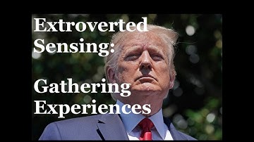 ESTP, ISTP, ESFP, ISFP Extroverted Sensing: Gathering Experiences