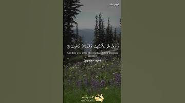 تلاوات المحراب | ما تيسر من سورة المؤمنون | 1:11