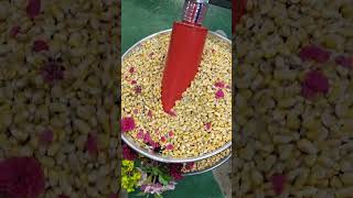 Process vegetable grinder for animal feed