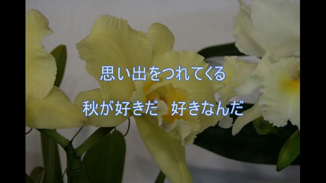 僕の好きな秋 翠千賀 音遊び Youtube