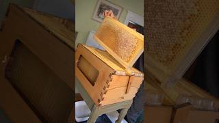 Finally Harvesting Honey From The Flow Hive Pt.1
