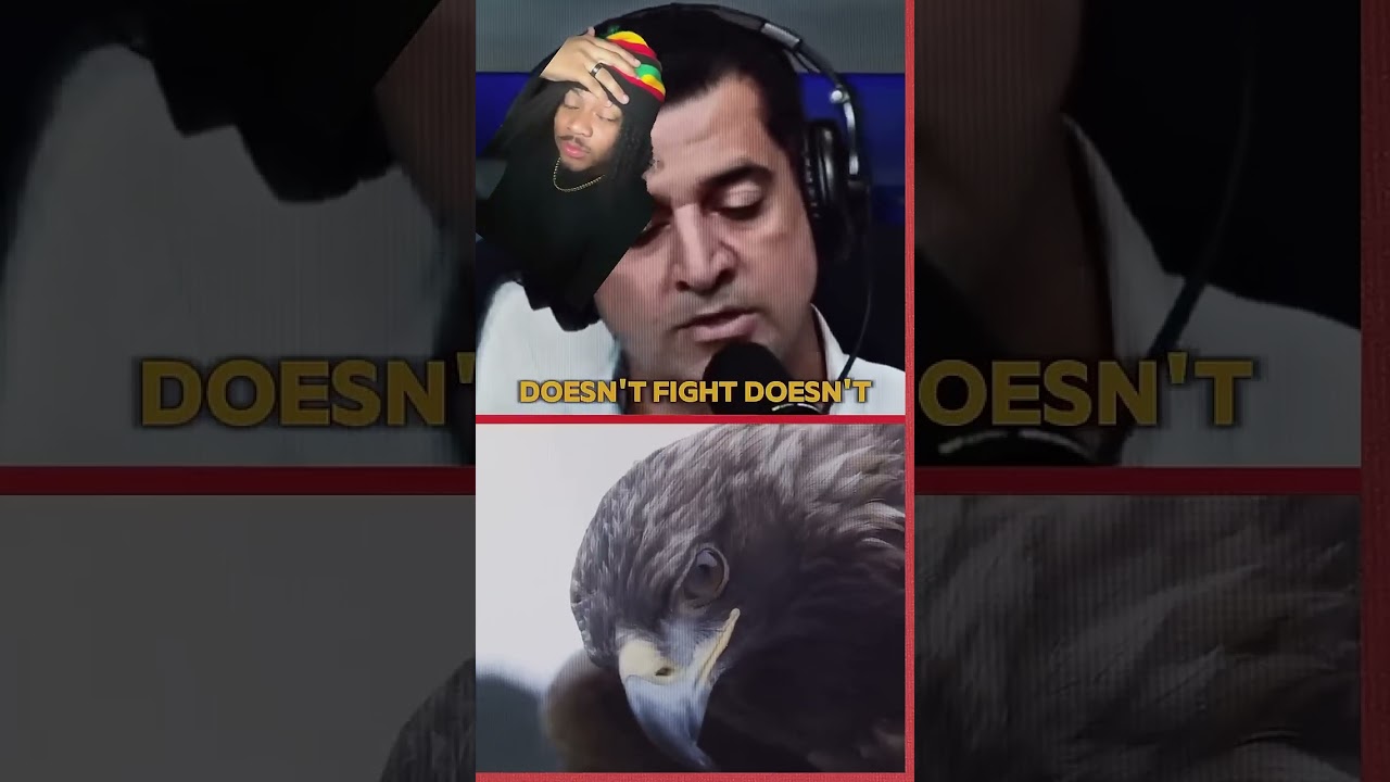 Счастливого понедельника! 