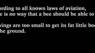 The Bee Movie But Every Time It Says Bee Gets Faster