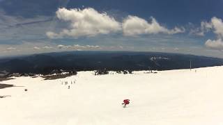 Timberline Springtime Episode 2
