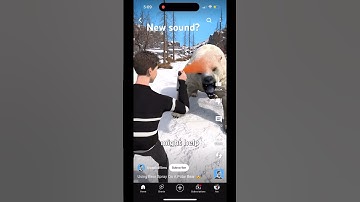 Commenting on every video that uses this sound.