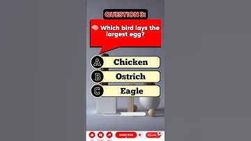 Guess the right answer 3/3 🧠 #quiz #shorts #shortsfeed #youtubeshorts #trendingshorts #viralshorts