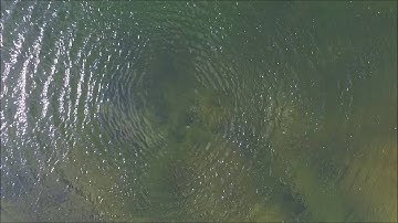 DJI Phantom 3 Professional Flying Over Water Vision Positioning Sensor VPS Off