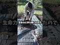 土づくりした畑がヤバい!!