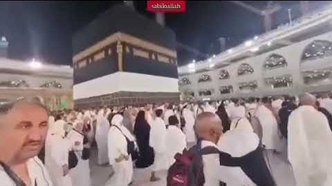 سورة المؤمنون الشيخ ماهر المعيقلي قرآن كريم برواية حفص عن عاصم