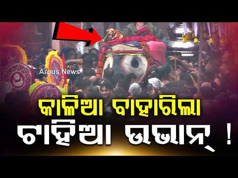 Lord Jagannath Grand Majestic Pahandi Bije To Nandighosa Chariot | Argus News | Puri | Odisha News