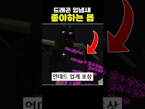 드래곤 입냄새