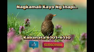 Download Lagu Nagkamali Kayo Ng Inapi..Kabanata 6101-6110 MP3