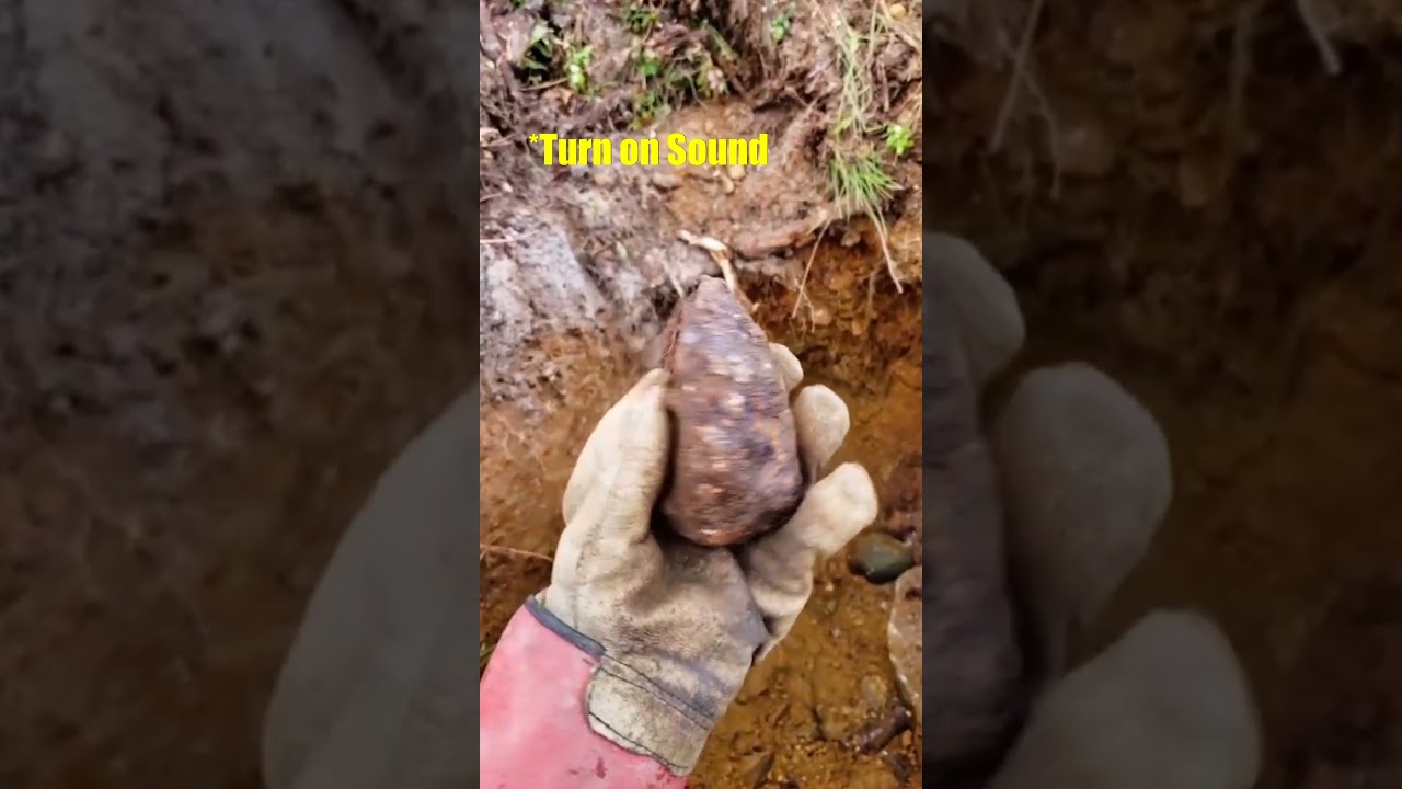 This is a 4 Billion Year old Rock! 🤯 (@stardust_eu)