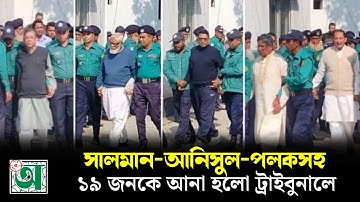 সালমান আনিসুল পলকসহ ১৯ জনকে আনা হলো ট্রাইবুনালে | NewsUpdate