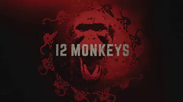 Is 12 Monkeys playing on Netflix?