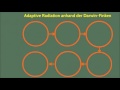 Adaptive Radiation - die Darwin Finken einfach erklärt | Evolution 17 Mp3 Song